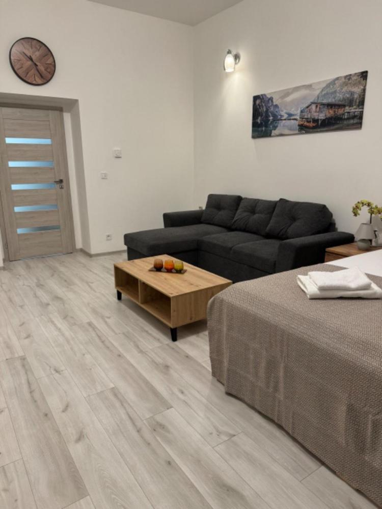 Magnet Apartment Karlovy Vary